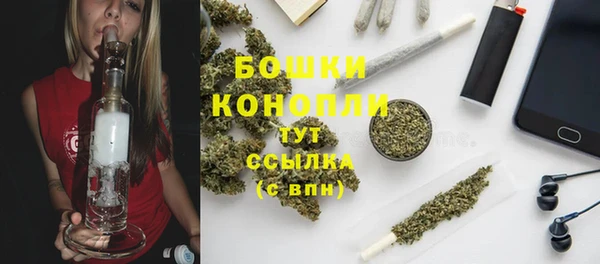 спиды Ельня