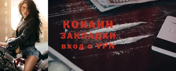 спиды Ельня