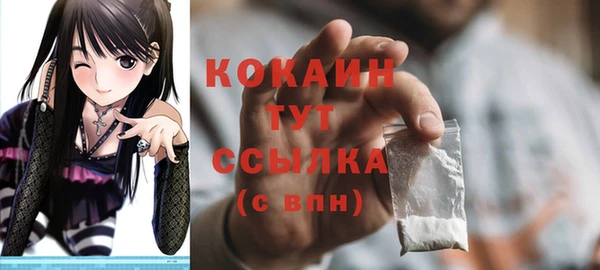 спиды Ельня