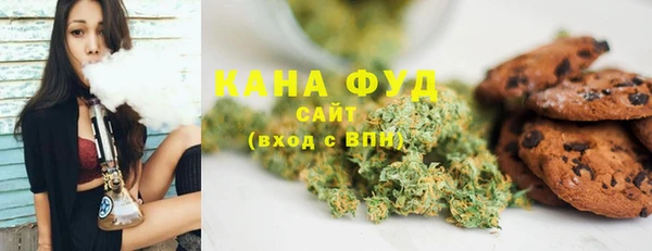 спиды Ельня