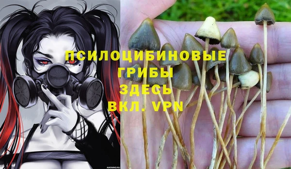 марихуана Елабуга