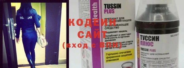 спиды Ельня