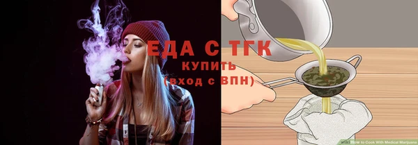 спиды Ельня