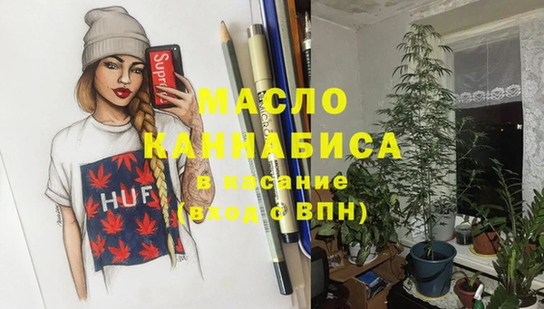 спиды Ельня