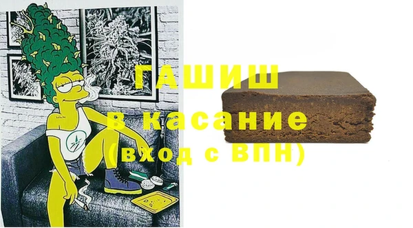 спиды Ельня