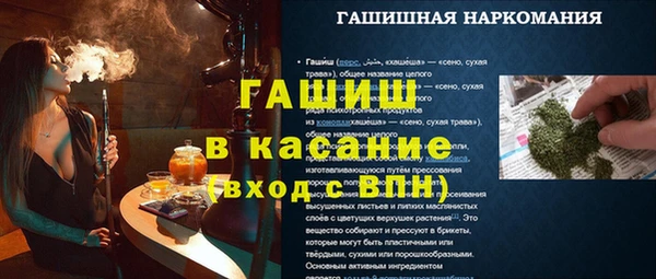 спиды Ельня