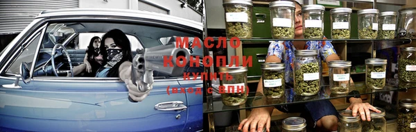 спиды Ельня