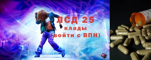 спиды Ельня