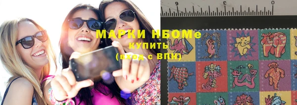 спиды Ельня