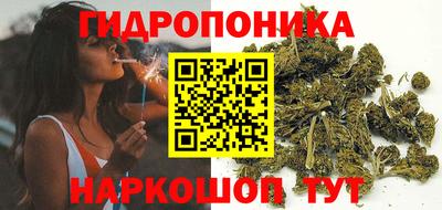 прущие грибы Донской