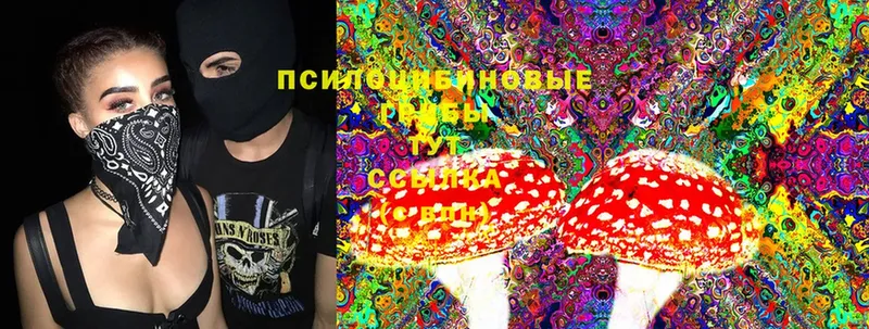 Псилоцибиновые грибы MAGIC MUSHROOMS  Зеленокумск 