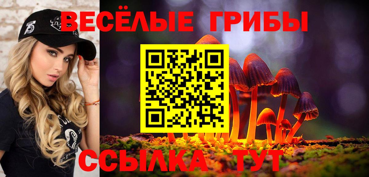 Псилоцибиновые грибы ЛСД  Вход с VPN  купить наркотики сайты  Зеленокумск 